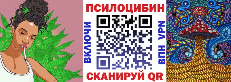 что такое   это состав  Псилоцибиновые грибы Psilocybe  Магнитогорск 